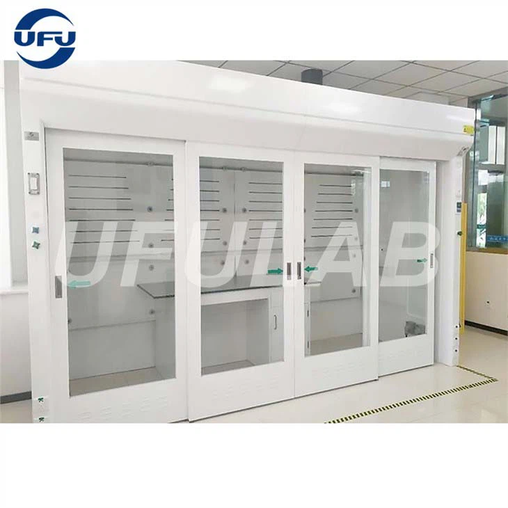 Floor Mounted Walk in Fume Hood